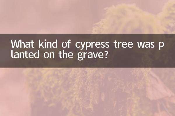 ما نوع شجرة السرو التي زرعت على القبر؟