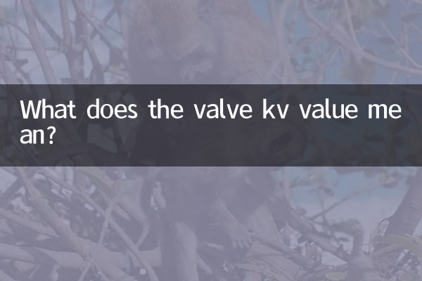 Cosa significa il valore kv della valvola?