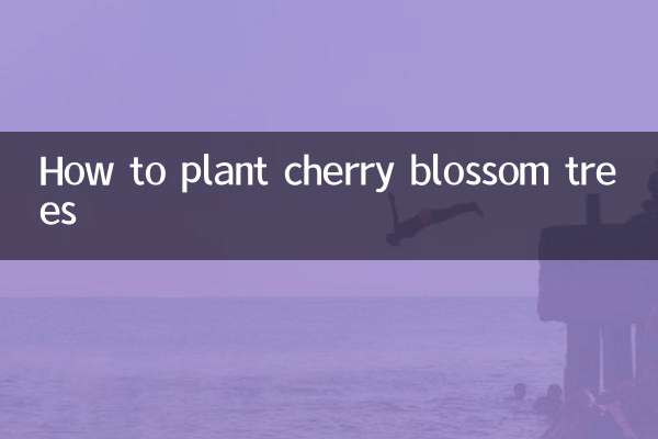 Comment planter des cerisiers en fleurs