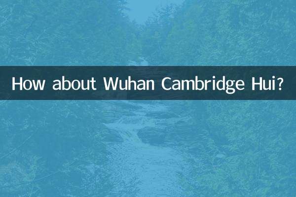 ووہان کیمبرج ھوئی کے بارے میں کیا خیال ہے؟