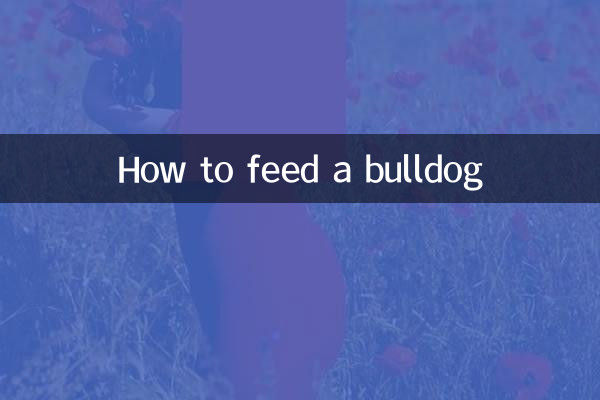 Cómo alimentar a un bulldog