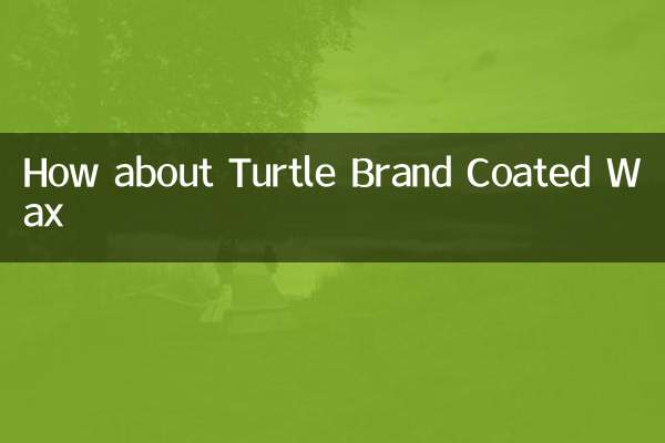 How about Turtle Brand Coated Wax