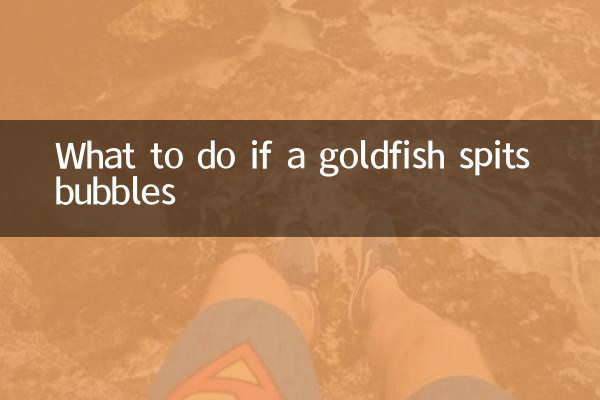 Was tun, wenn ein Goldfisch Blasen spuckt?