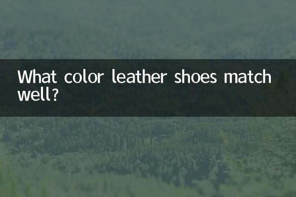 Di che colore si abbinano bene le scarpe in pelle?