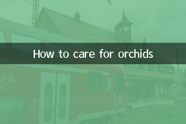 Come prendersi cura delle orchidee
