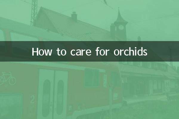 Come prendersi cura delle orchidee