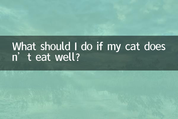 猫不好好吃饭怎么办