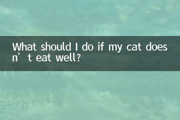 O que devo fazer se meu gato não comer bem?