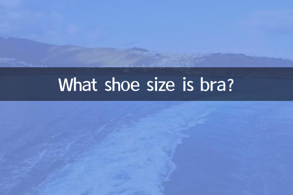 What shoe size is bra?