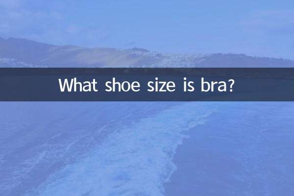 What shoe size is bra?