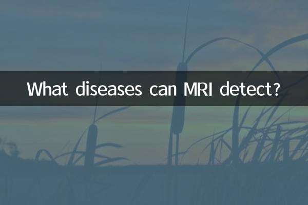 Какие заболевания можно выявить с помощью МРТ?