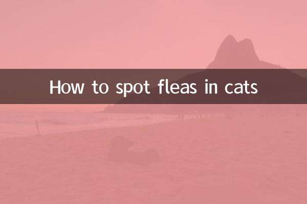 كيفية اكتشاف البراغيث في القطط