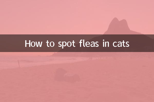 Come individuare le pulci nei gatti