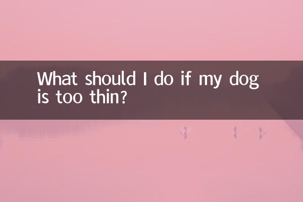 O que devo fazer se meu cachorro for muito magro?