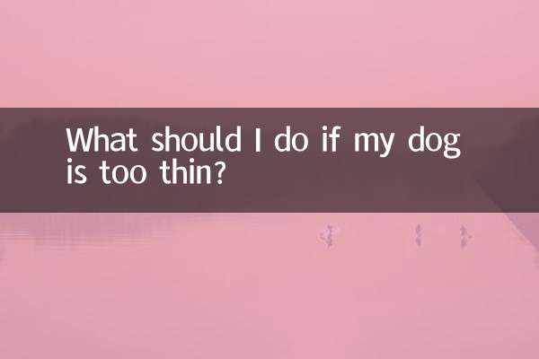 O que devo fazer se meu cachorro for muito magro?