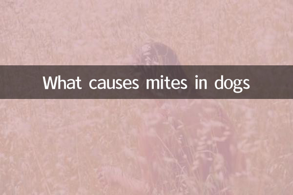 چه چیزی باعث ایجاد کنه در سگ می شود