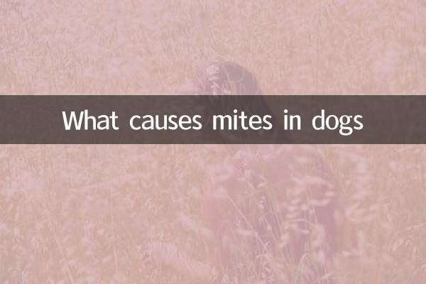 Что вызывает клещей у собак