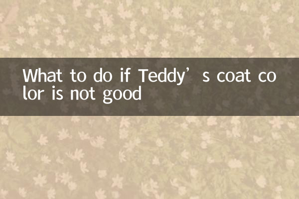 টেডির কোটের রং ভালো না হলে কী করবেন