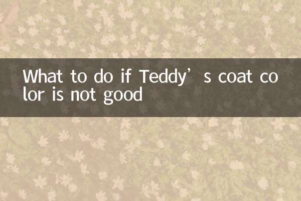 টেডির কোটের রং ভালো না হলে কী করবেন