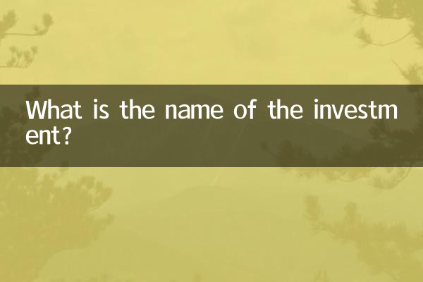 投資の名前は何ですか?
