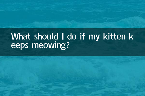 What should I do if my kitten keeps meowing?