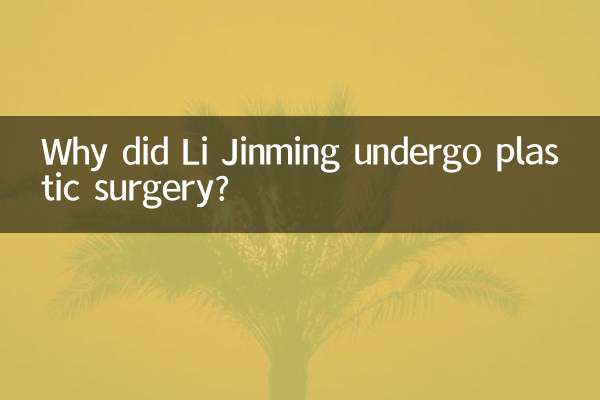 Why did Li Jinming undergo plastic surgery?