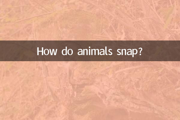 How do animals snap?