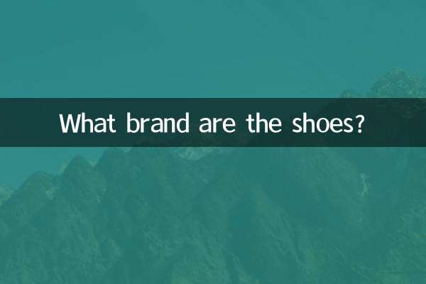 What brand are the shoes?