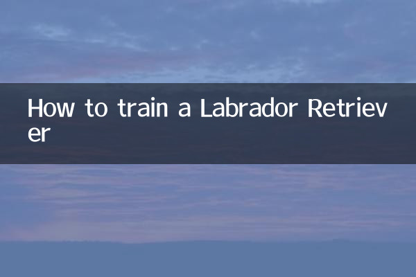 Wie man einen Labrador Retriever trainiert