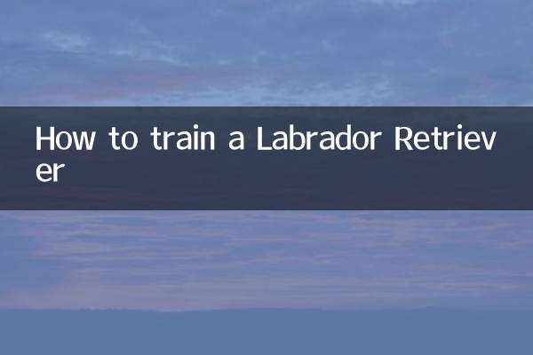 Wie man einen Labrador Retriever trainiert