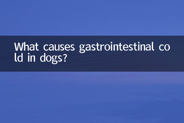 犬の胃腸風邪の原因は何ですか?