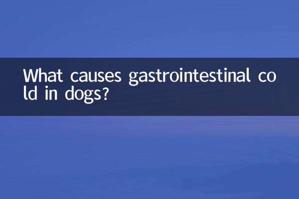 犬の胃腸風邪の原因は何ですか？