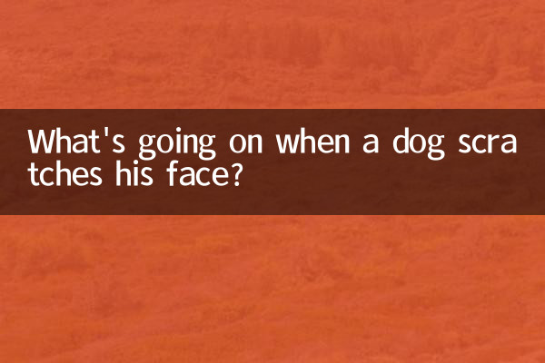 Что происходит, когда собака царапает лицо?