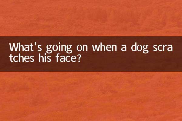 Что происходит, когда собака царапает лицо?