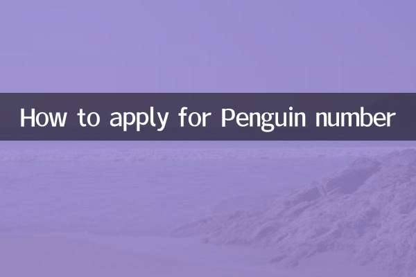 كيفية التقدم بطلب للحصول على رقم البطريق