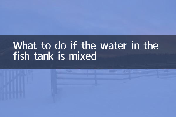 Cosa fare se l'acqua nell'acquario è mescolata