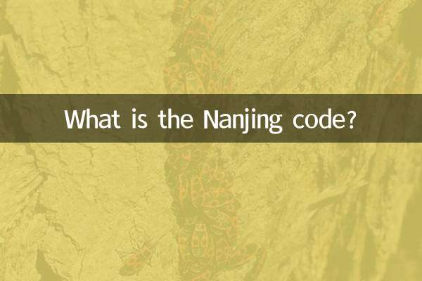 ¿Qué es el código de Nanjing?