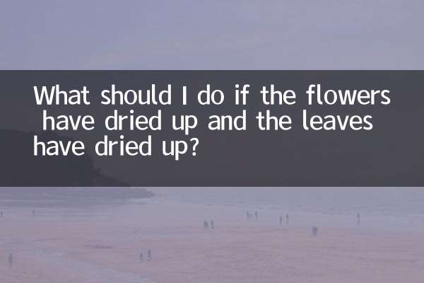 花干叶了怎么办
