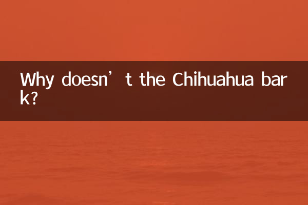 Почему чихуахуа не лает?