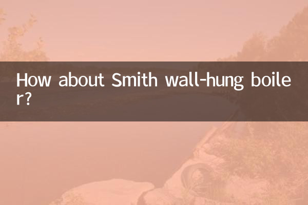 ¿Qué tal la caldera mural Smith?