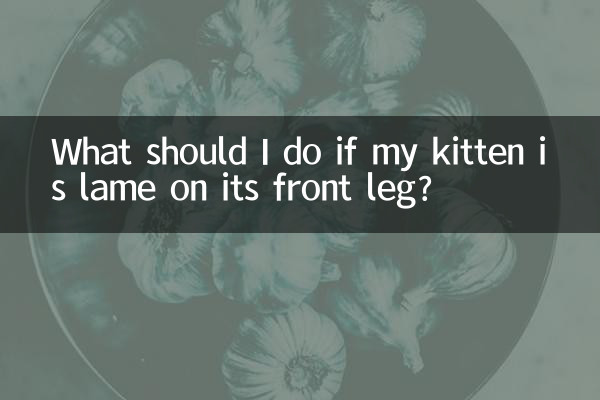 Cosa devo fare se il mio gattino è zoppo sulla zampa anteriore?