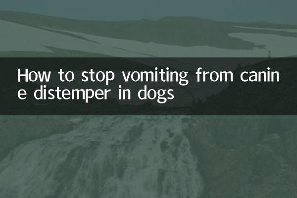 كيفية وقف القيء من حمى الكلاب في الكلاب