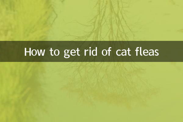 Come sbarazzarsi delle pulci del gatto