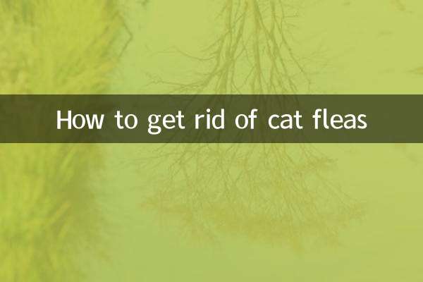 Come sbarazzarsi delle pulci del gatto