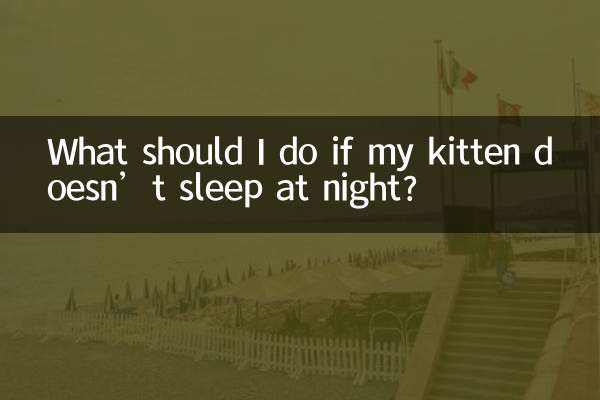 小猫晚上不睡觉怎么办