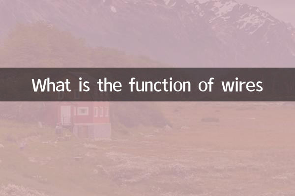 전선의 기능은 무엇입니까