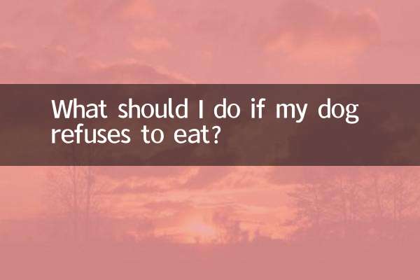 狗换不吃饭怎么办