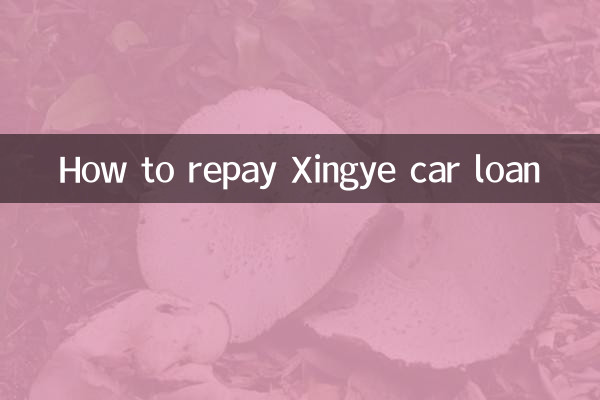 Come rimborsare il prestito auto Xingye