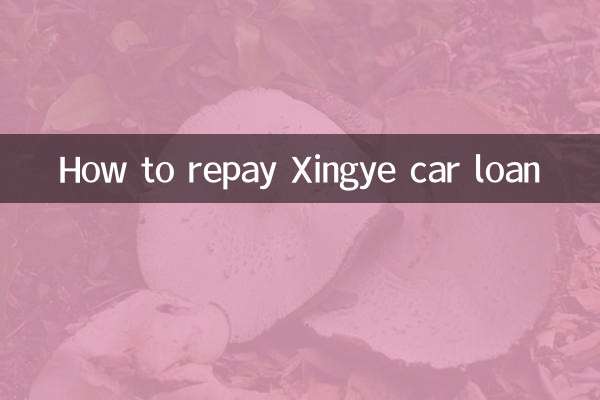 Come rimborsare il prestito auto Xingye
