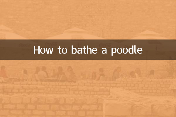 Cómo bañar a un caniche